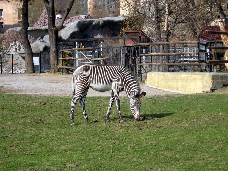 Зоопарк Дом юннатов